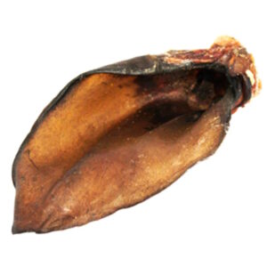 Okseøre