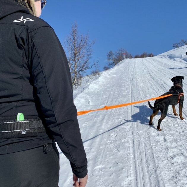 Alac magebelte med elastiske bånd