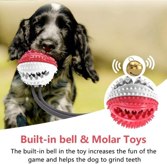 Aktivitet-belønningsball med snor og bjelle til hund