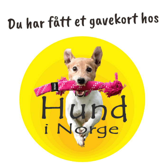 Gavekort Hund i Norge