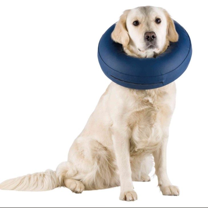 trixie oppblåsbar hundekrage protective collar inflatable hundeskjerm
