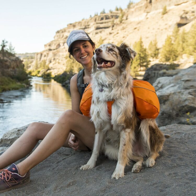 Ruffwear Approach Dog Pack Kløv Oransje