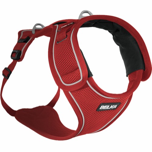 Curli Belka Harness Hundesele Refleks - Small - Rød