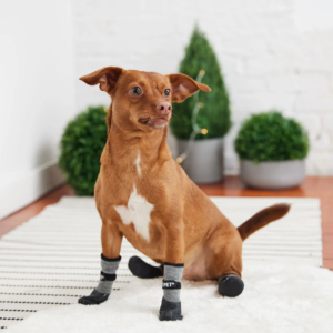 Go Fresh PET® BOOTIES-helårs støvler til hund