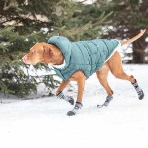 Go Fresh PET® BOOTIES-helårs støvler til hund