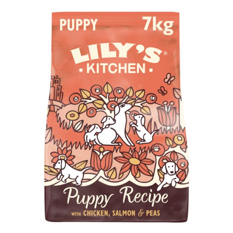 Lily's Kitchen Puppy Chicken & Salmon