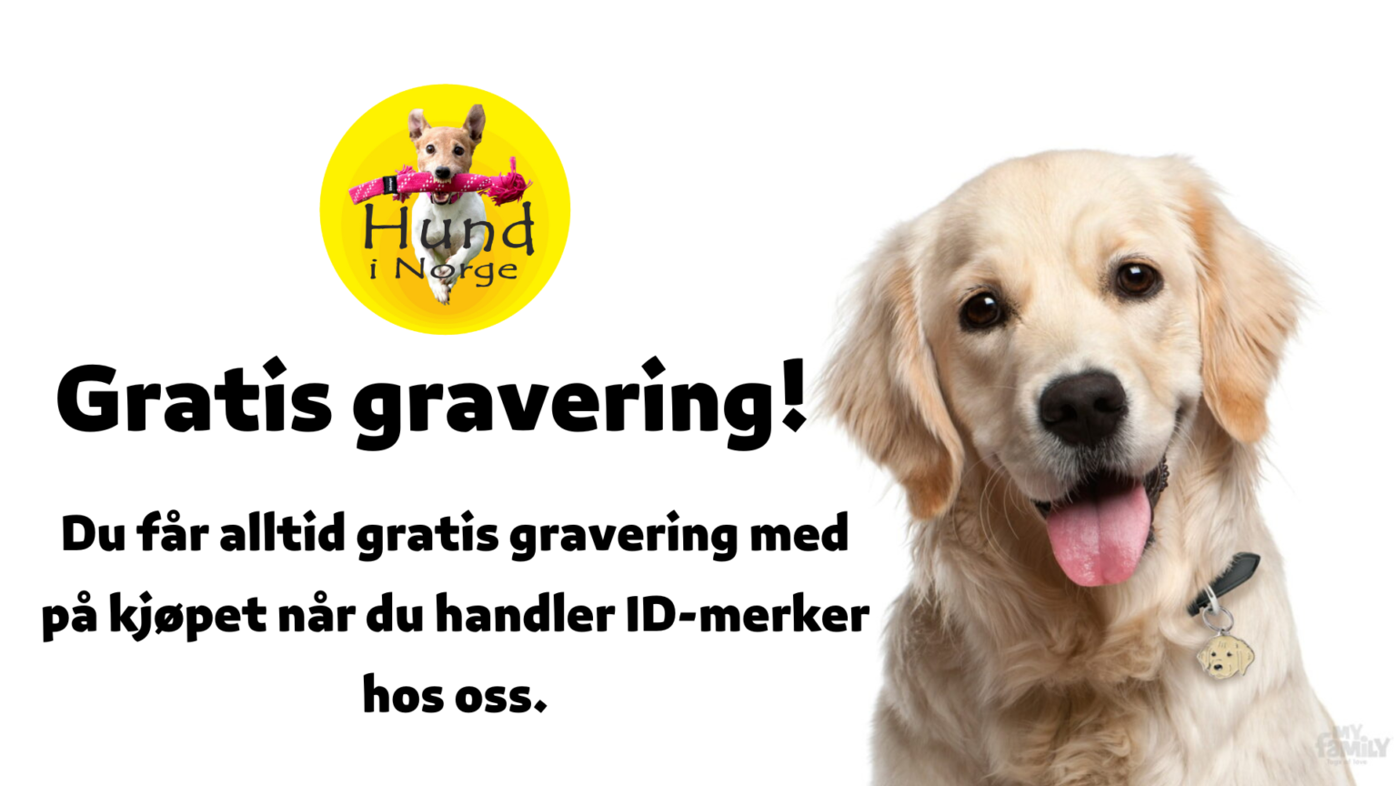 Gratis gravering Hund i Norge ID-merker