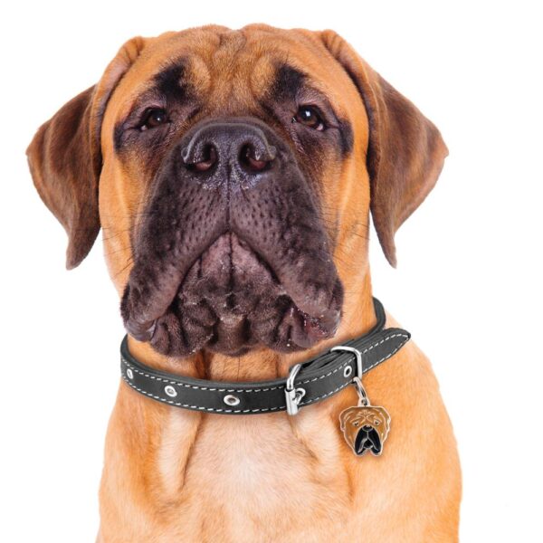 Myfamily Bullmastiff IDtag