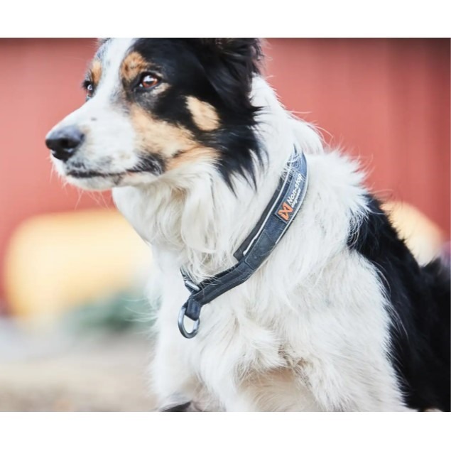 Non-Stop Dogwear Cruise Collar Hundehalsbånd