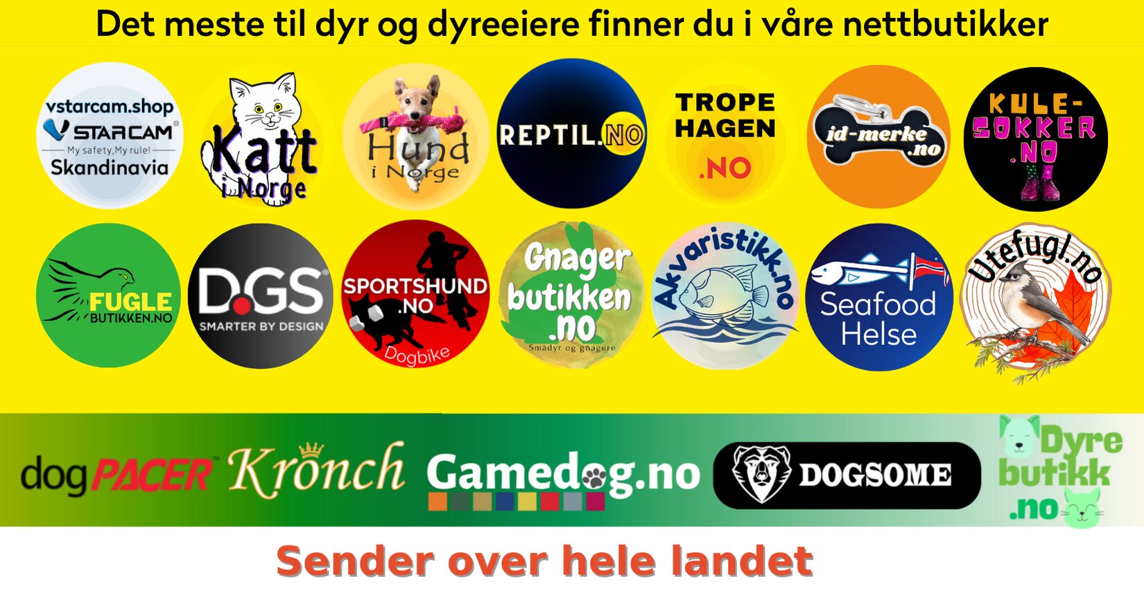 Hund i Norge