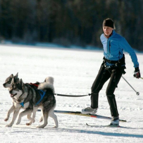 Baggen Softbelt Race X2 grå