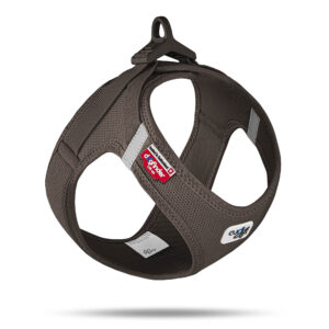 Curli Vest Air-Mesh Clasp Hundesele