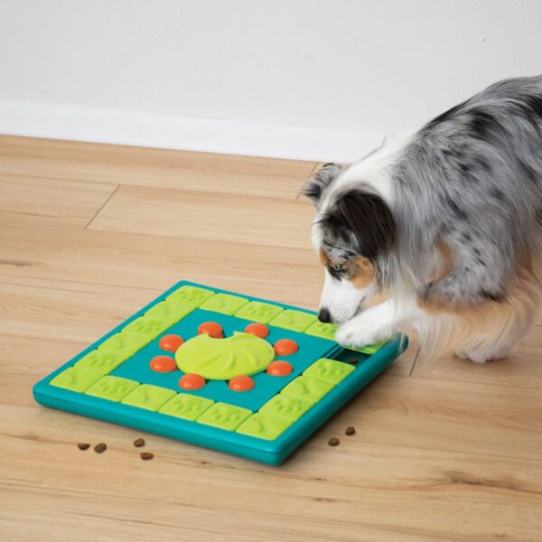 Nina Ottosson Dog Multipuzzle