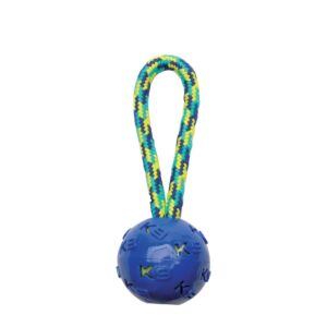 ZS K9 Aktivitets ball med innkapslet tennisball 23CM