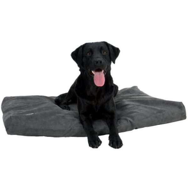 buster memory foam hundeseng madrass