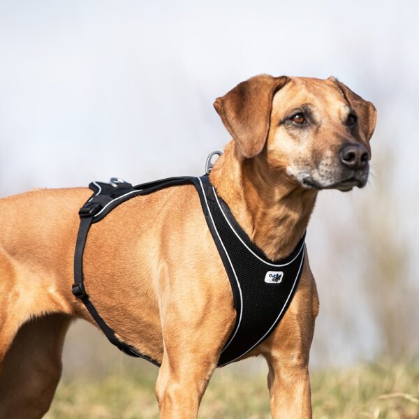 Curli Belka Comfort Harness Hundesele Rød (5 størrelser)