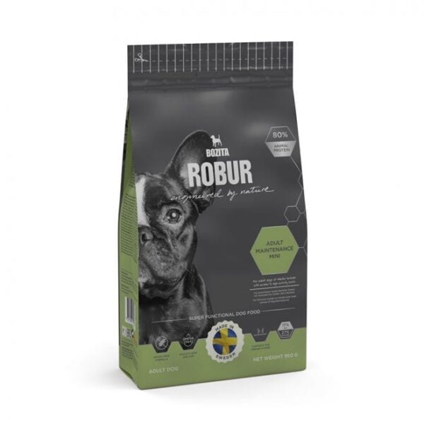 Robur Adult Maintenance Mini