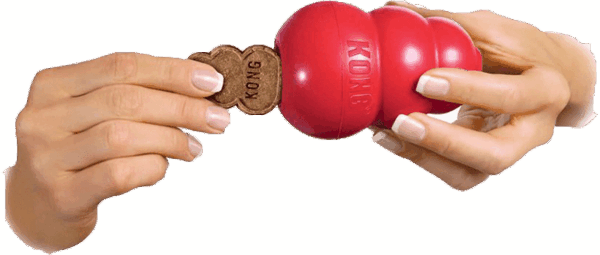 KONG Stuff'N Snacks Liver