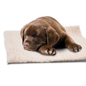 Ozami Dry Bed Hundeseng, Vet Bed