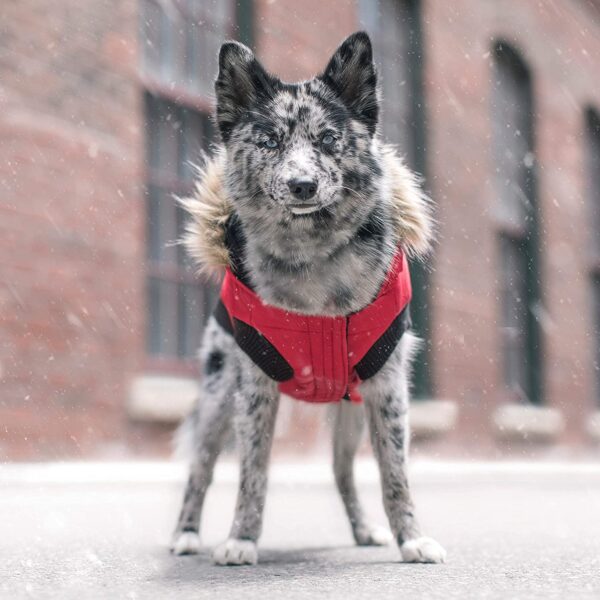 Canada Pooch North Pole Hundeparkas Vinterdekken