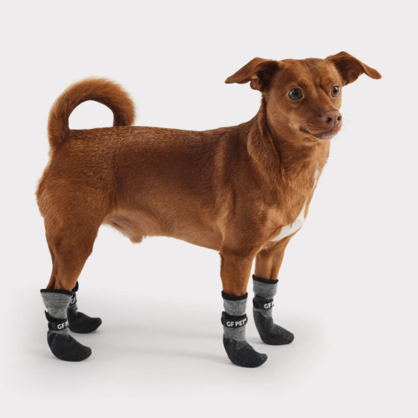 Go Fresh PET BOOTIES®-helårs støvler til hund