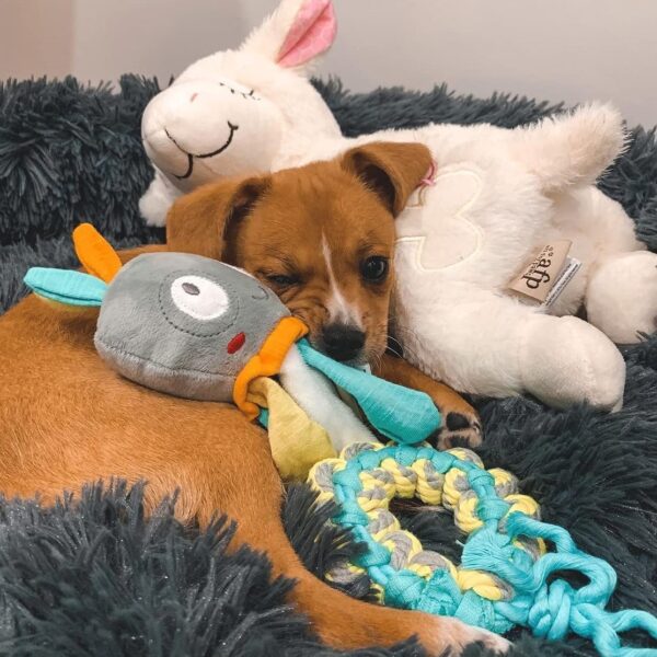 Afp Little Buddy hjerteslag Hundeleke, beroligende sau