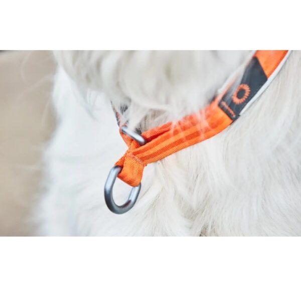 Non-Stop Dogwear Cruise Collar Hundehalsbånd