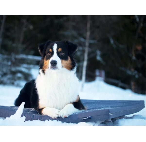 Bia Outdoor Hundemadrass