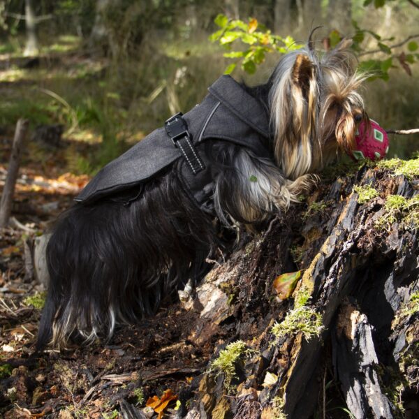 Companion ECO-life hundedekken