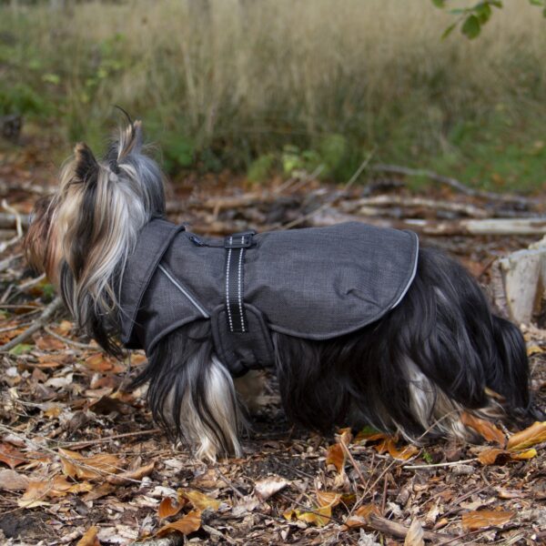 Companion ECO-life hundedekken