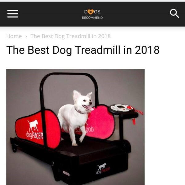 dogPACER MINI tredemølle