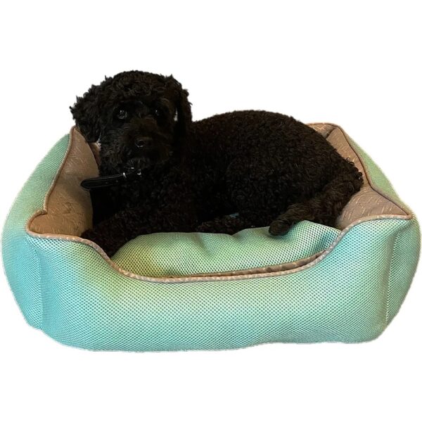 hundeseng Tyra
