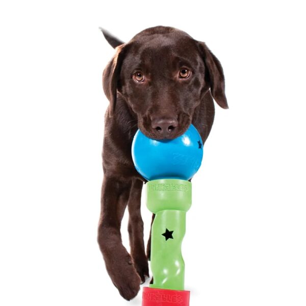 Linkables Twist fra PetSafe