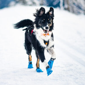 Non-Stop Long Distance Bootie Snøsokker Potesokker Hundesokker