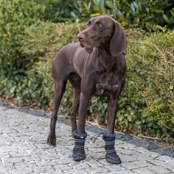 Hundesokk Walker Active Long Protective