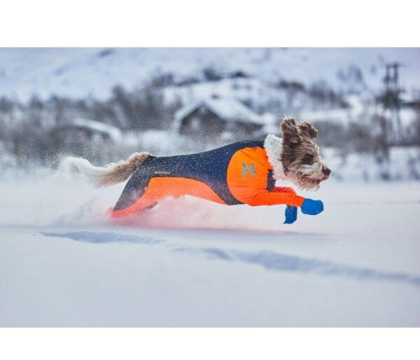 Non-Stop Dogwear Protector Snow - Snødrakt Heldress til hund