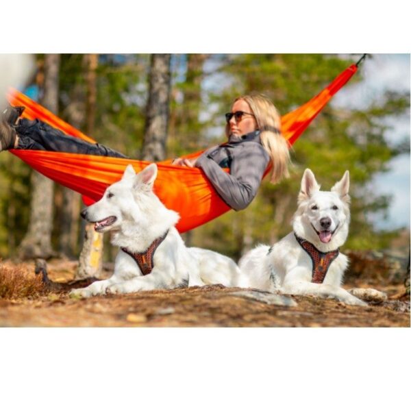 Non-Stop Dogwear Rock Harness - Polstret og Pustende Hundesele