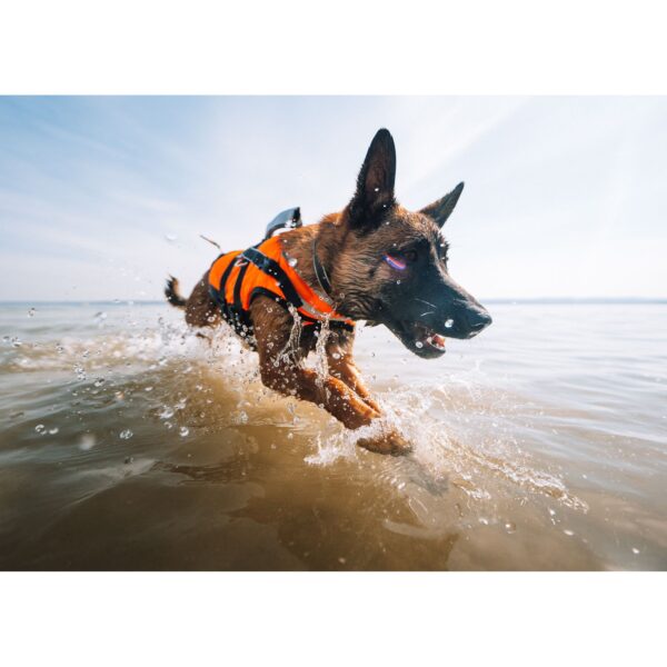 Non-Stop Dogwear Safe Life Jacket 2.0 Flytevest Svømmevest Hund