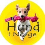 Hund i Norge - hundinorge.no